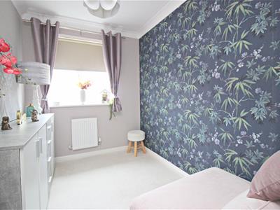 Picture 13